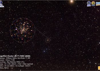Angelfish Cluster (M71/NGC 6838)