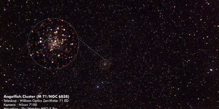 Angelfish Cluster (M71/NGC 6838)