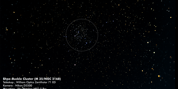 Shoe-Buckle Cluster (M 35/NGC 2168)