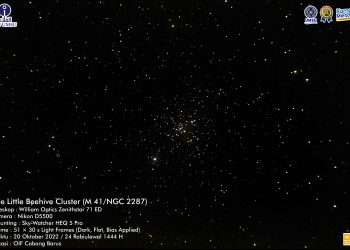 The Little Beehive Cluster
