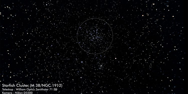 Starfish Cluster