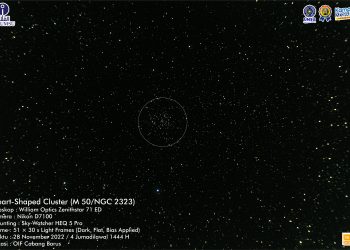 Heart-Shaped Cluster