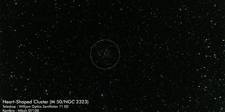 Heart-Shaped Cluster