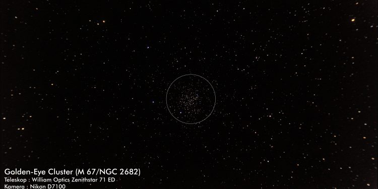 Golden-Eye Cluster